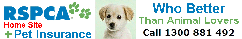 This Organisation Knows all about Pets so who better.

Definitely Not victorian Low Lifes medibank trying to cash in on an Industry they have no real connections in.

It's just a Money Grab from another Sicko health fund of Crap!...mediwank Low Lifes.

thekxkid.com